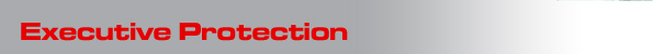 Executive Protection